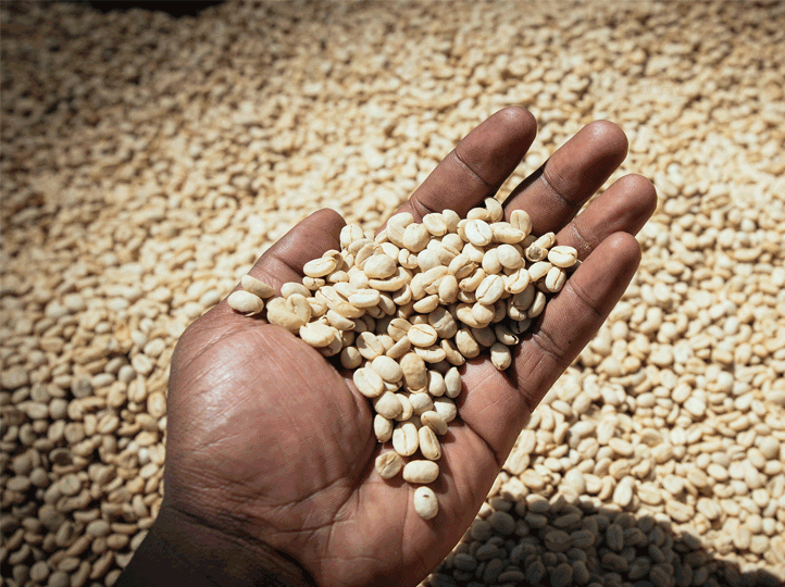 Ethiopia Banko Gotiti G1