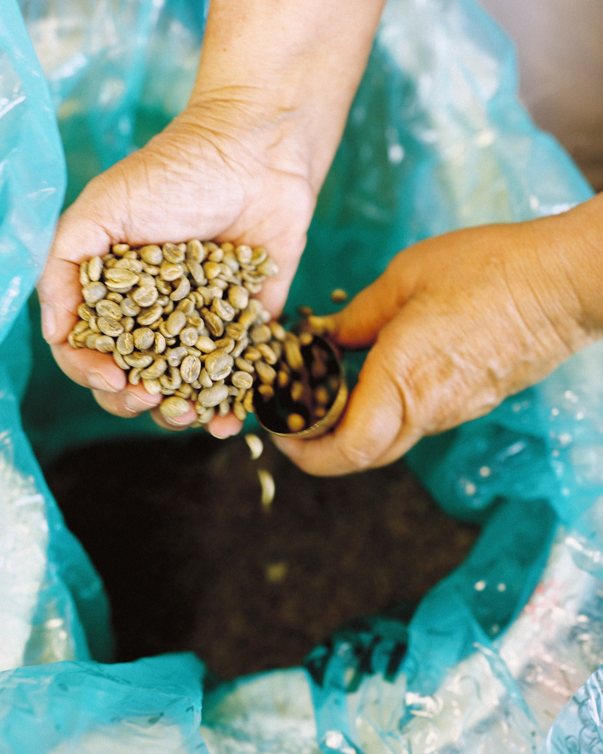 Taller de Cata de Café - 20 Noviembre 16:00