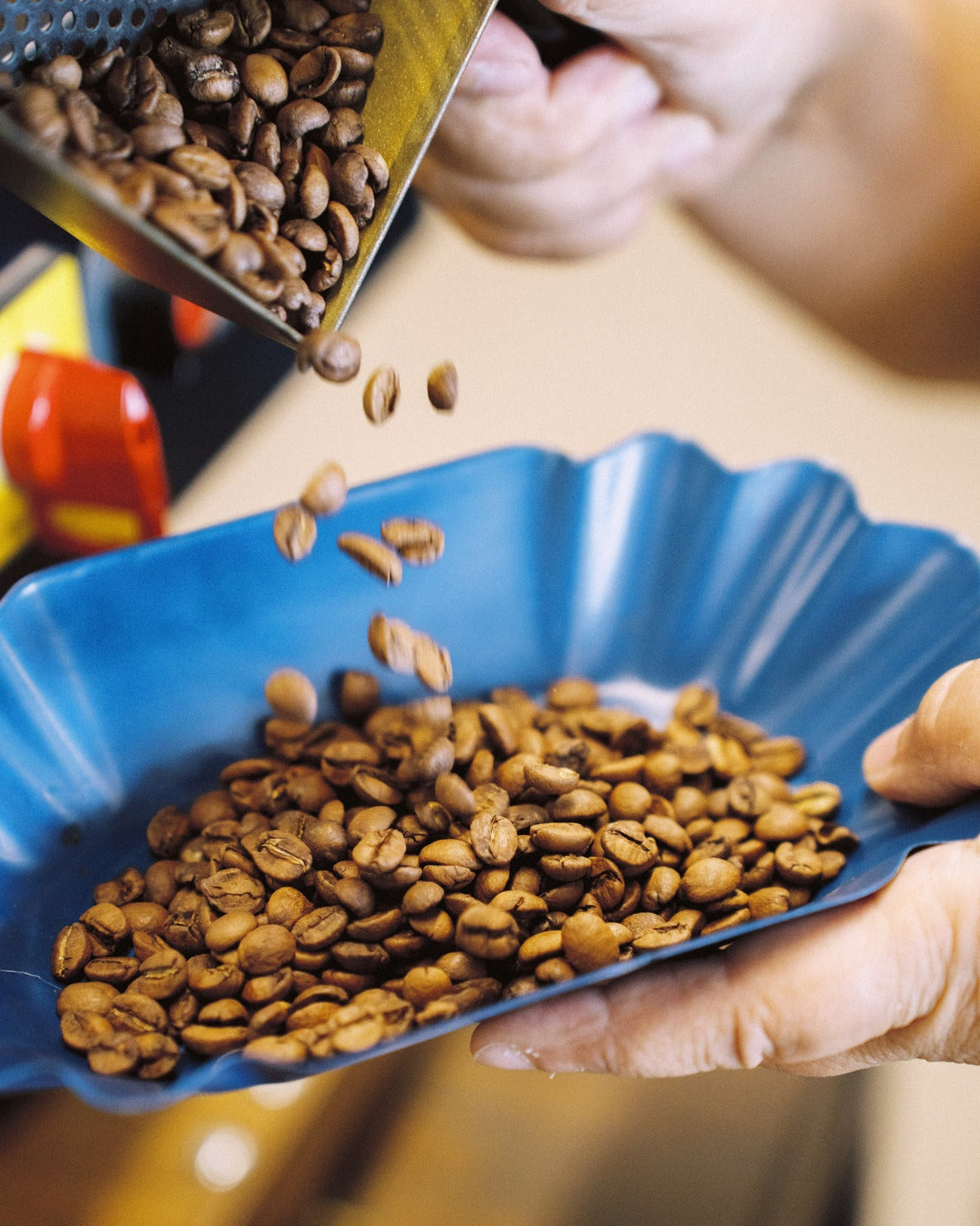 Taller de Cata de Café - 20 Noviembre 16:00