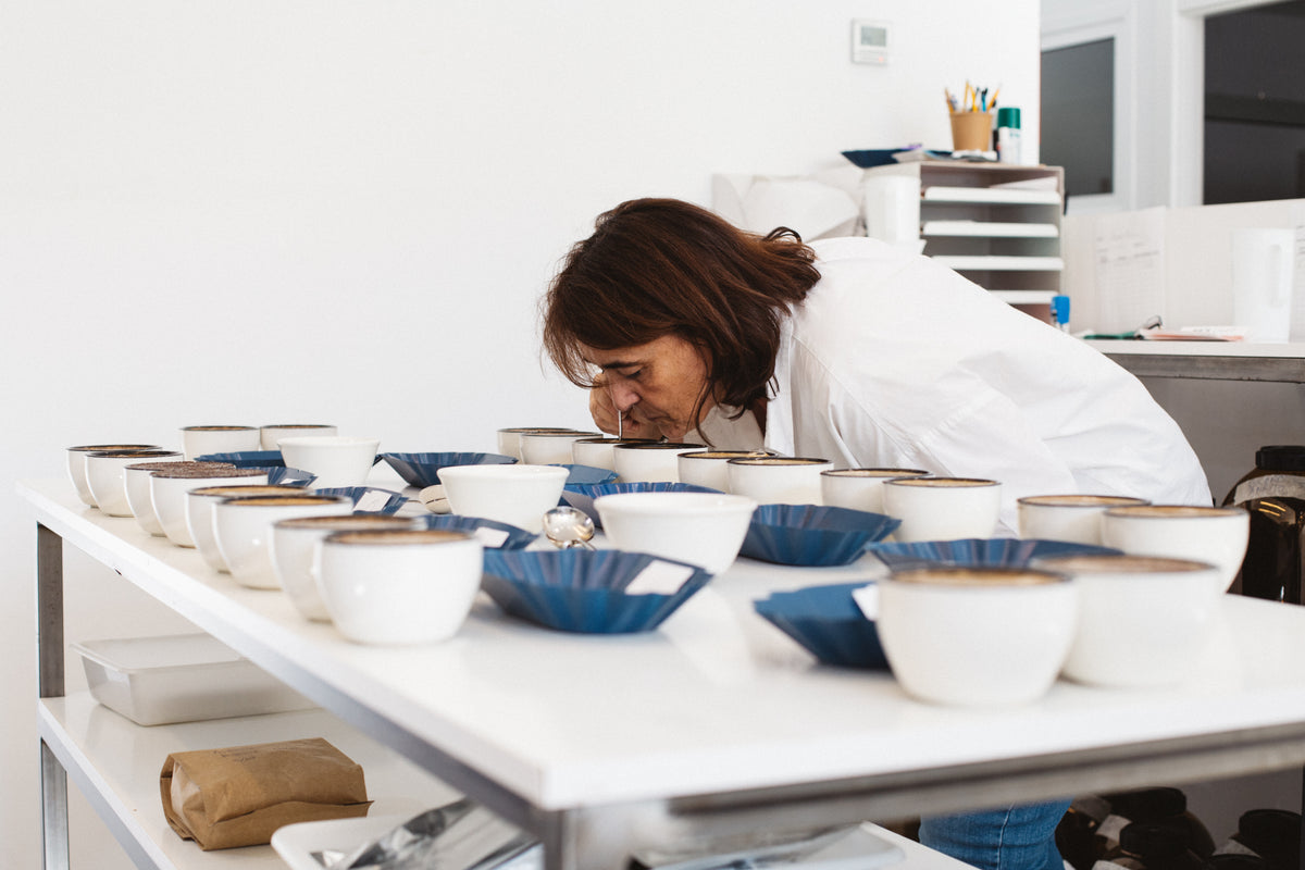 Taller de Cata de Café - 20 Noviembre 16:00