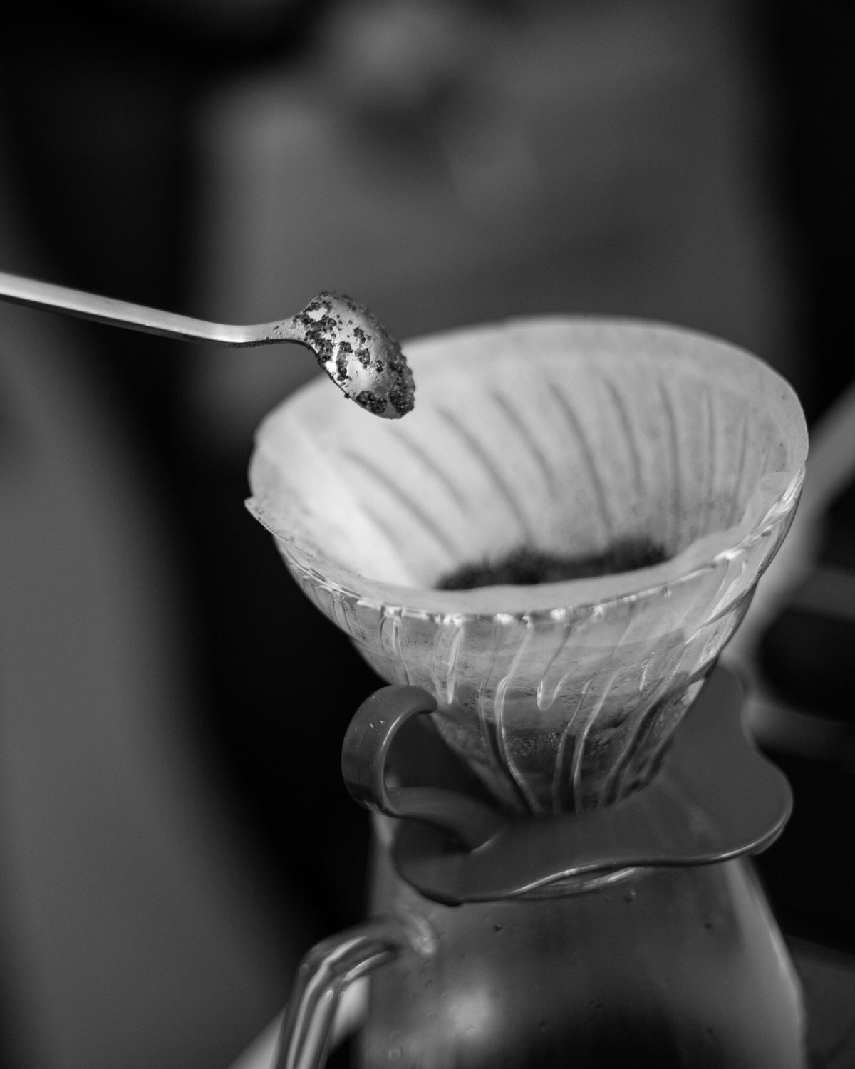 Curso SCA Barista Intermedio 21-22 de Octubre